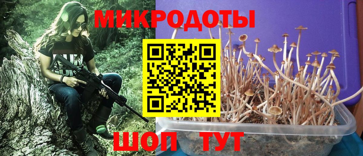 Галлюциногенные грибы прущие грибы Орёл